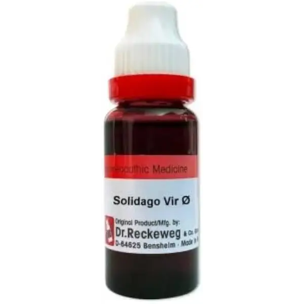 Dr. Reckeweg Solidago Vir Mother Tincture Q